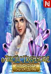 Arctic Treasure